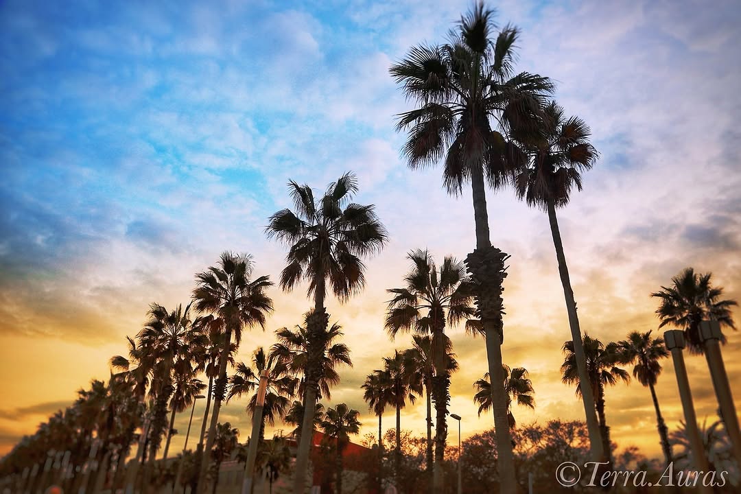 2024-05-11_12-21-29_UTC