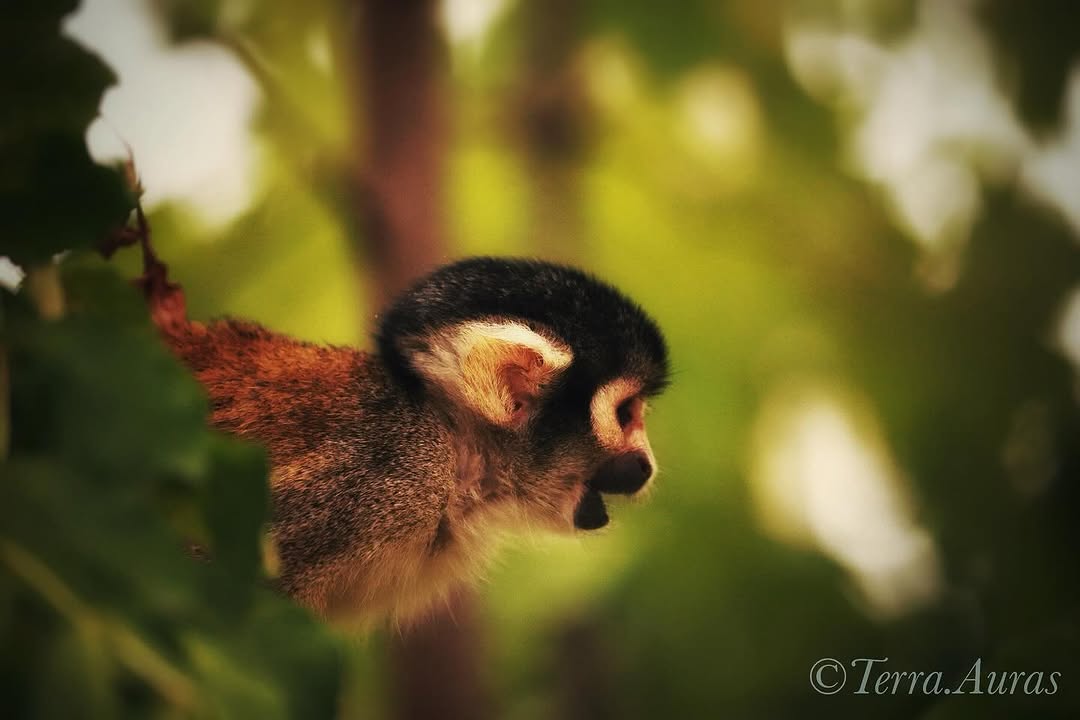 2024-05-26_12-06-30_UTC