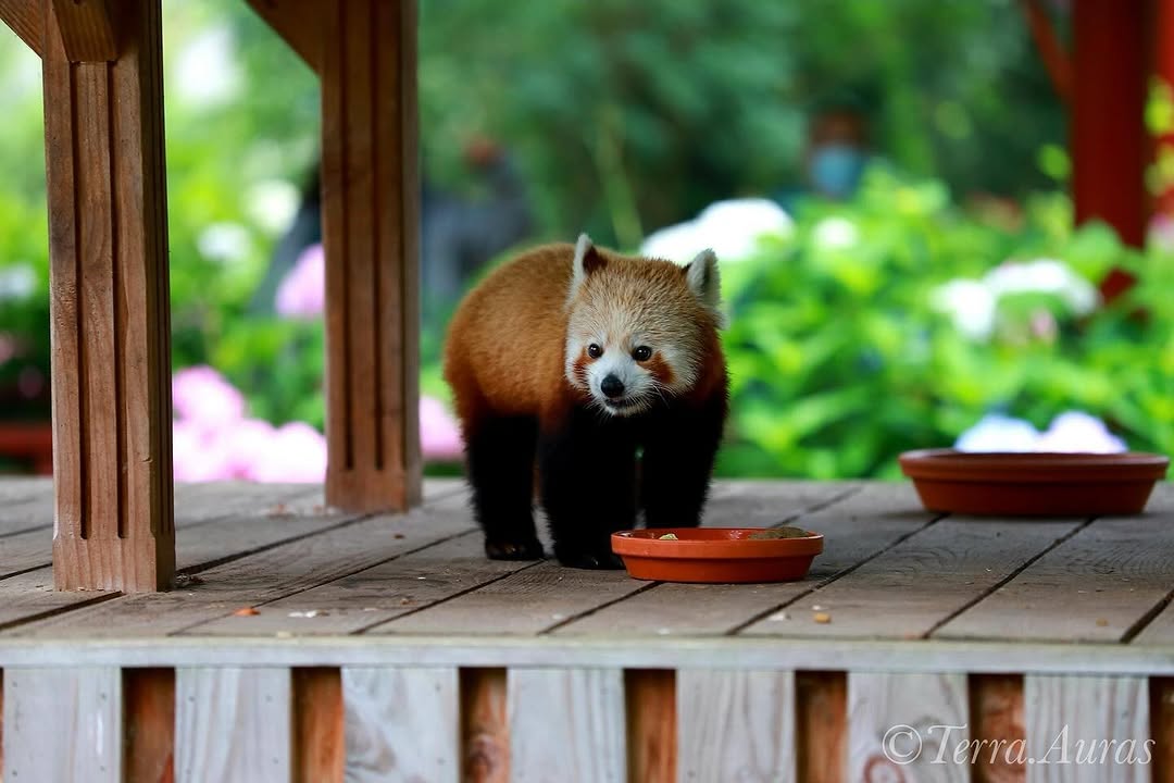 2024-06-26_20-04-55_UTC