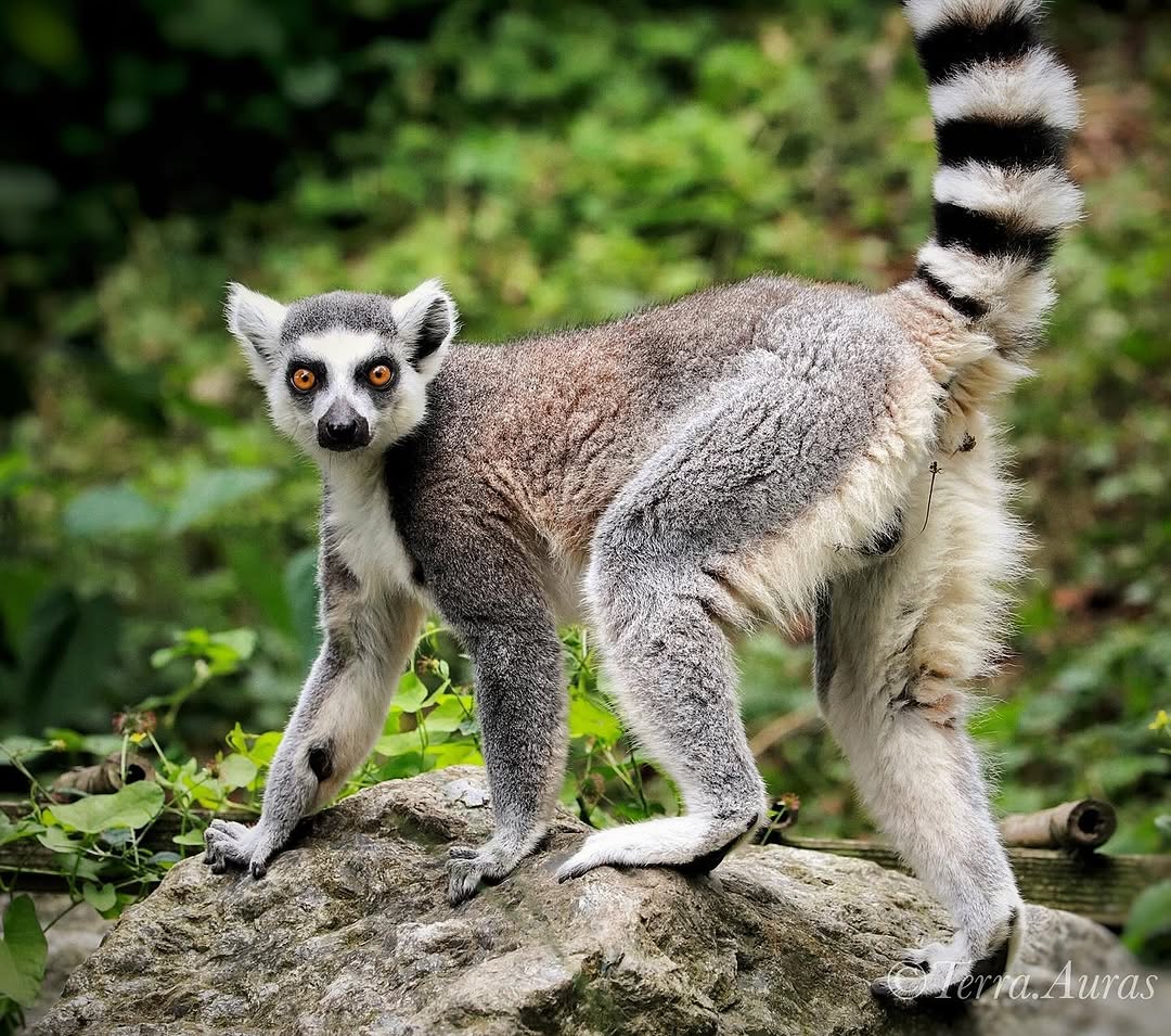 2024-07-12_12-40-01_UTC