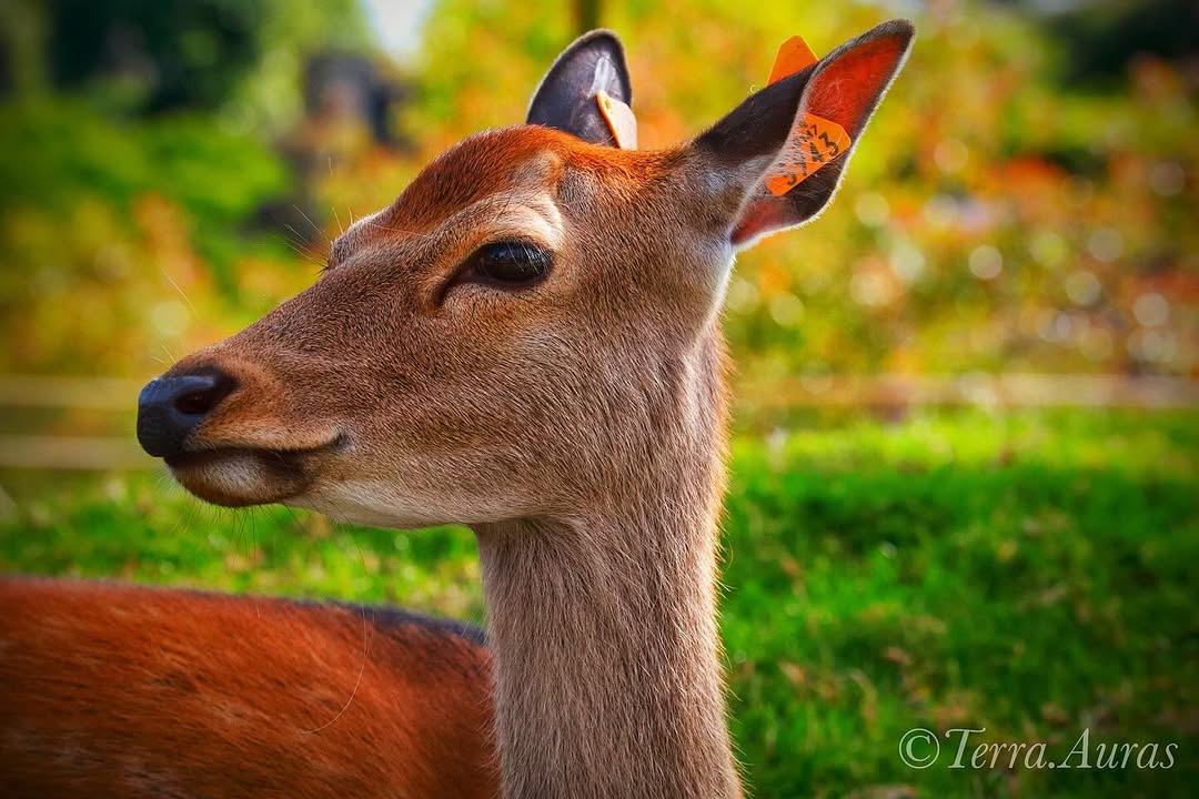 2024-07-20_08-02-11_UTC