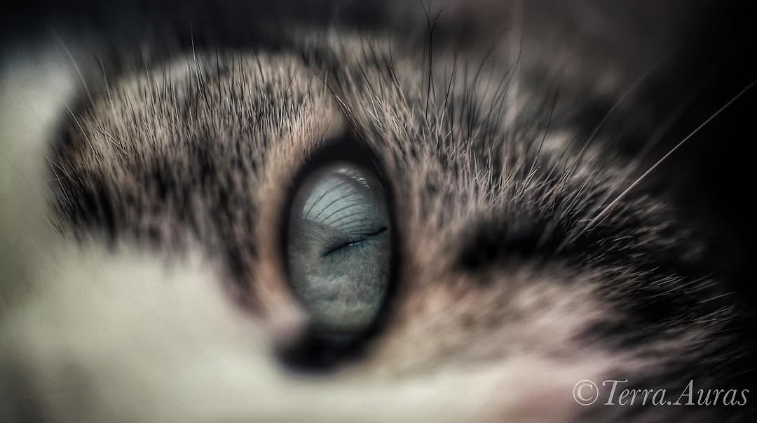 2024-08-04_19-04-33_UTC