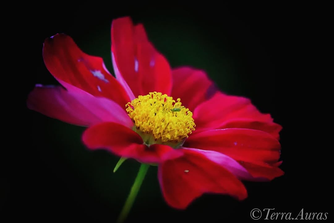 2024-08-11_16-14-45_UTC