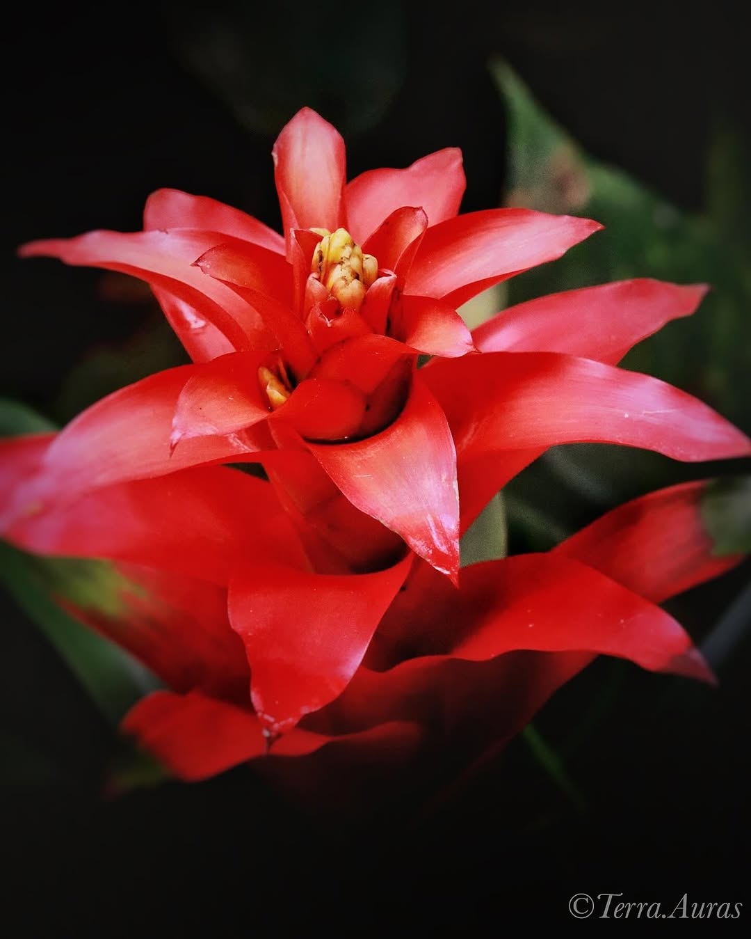 2024-08-18_16-27-43_UTC