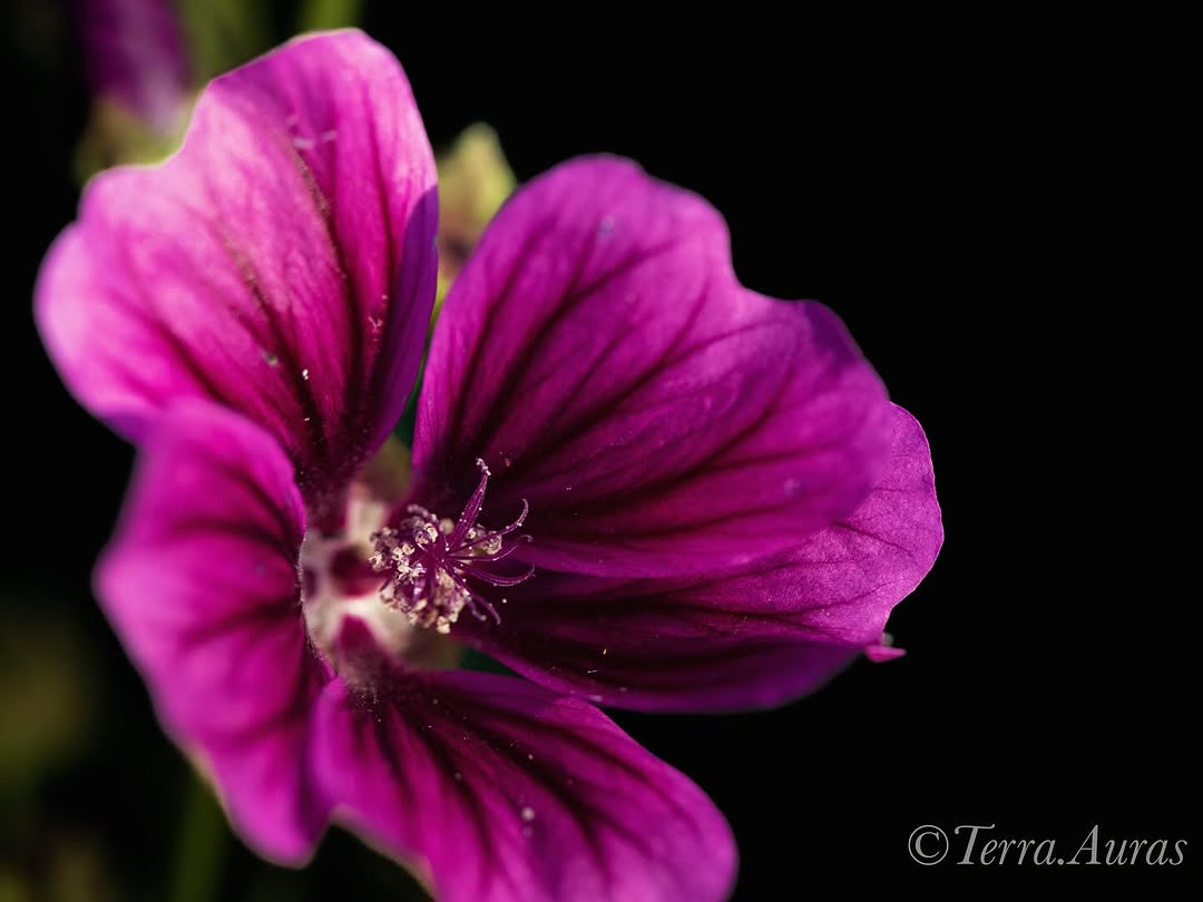 2024-08-24_19-09-32_UTC