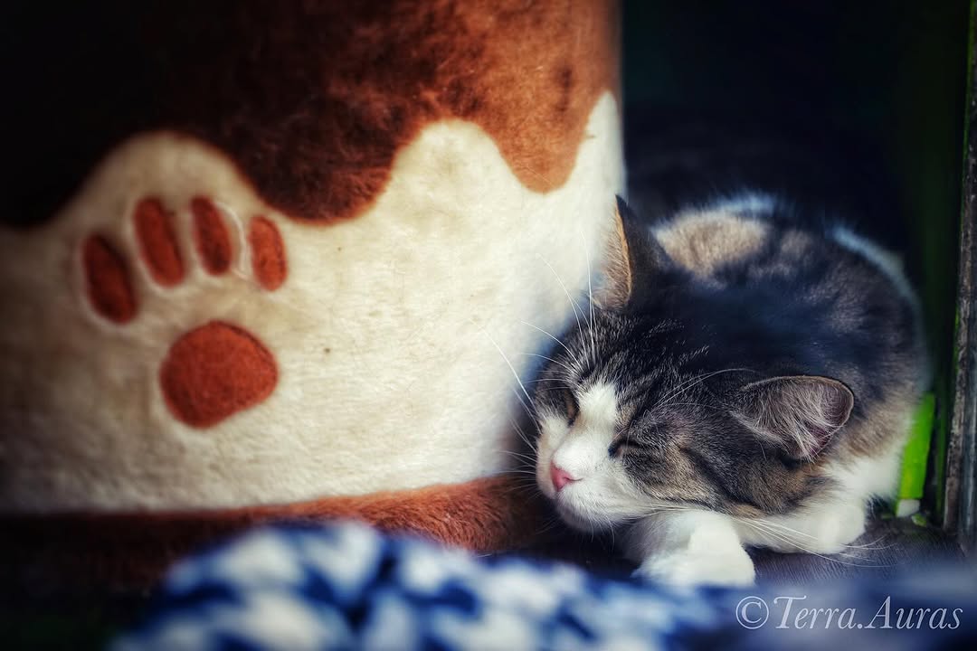 2024-09-15_16-36-09_UTC