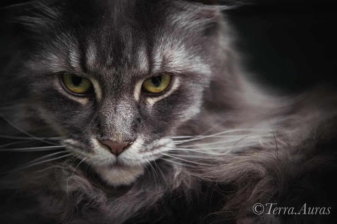 2024-09-29_10-37-44_UTC