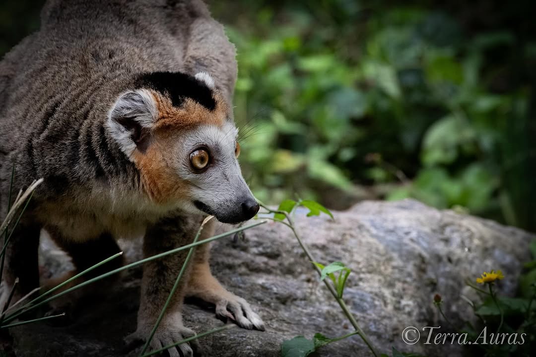 2024-10-06_14-32-59_UTC