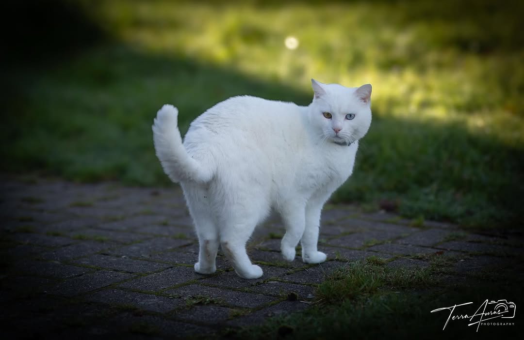 2024-11-10_10-46-44_UTC