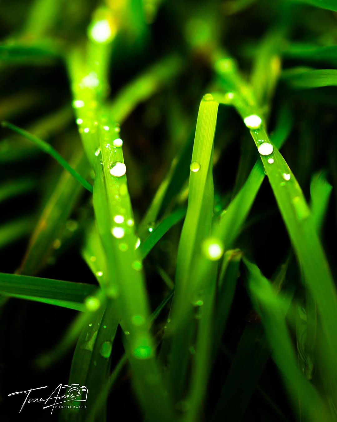 2024-12-08_13-36-26_UTC