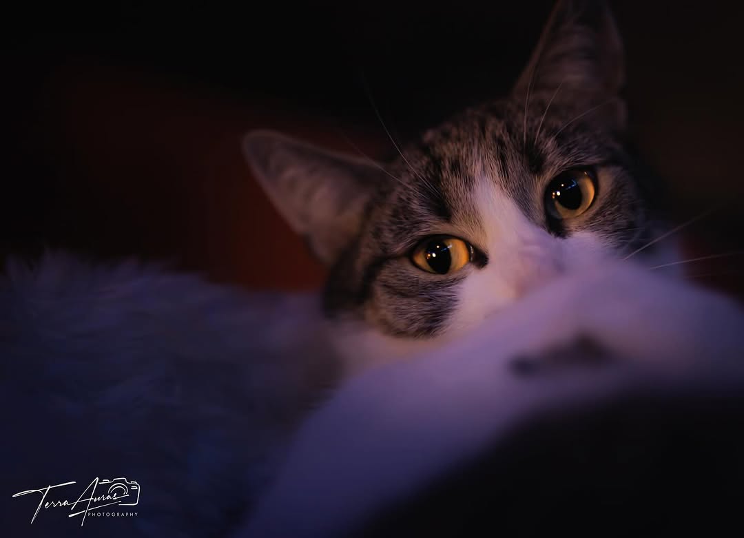 2025-01-05_09-00-00_UTC