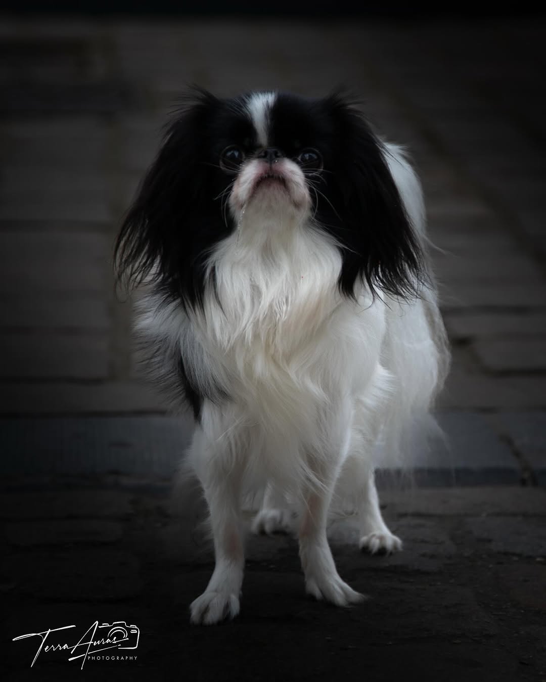 2025-02-23_13-37-04_UTC