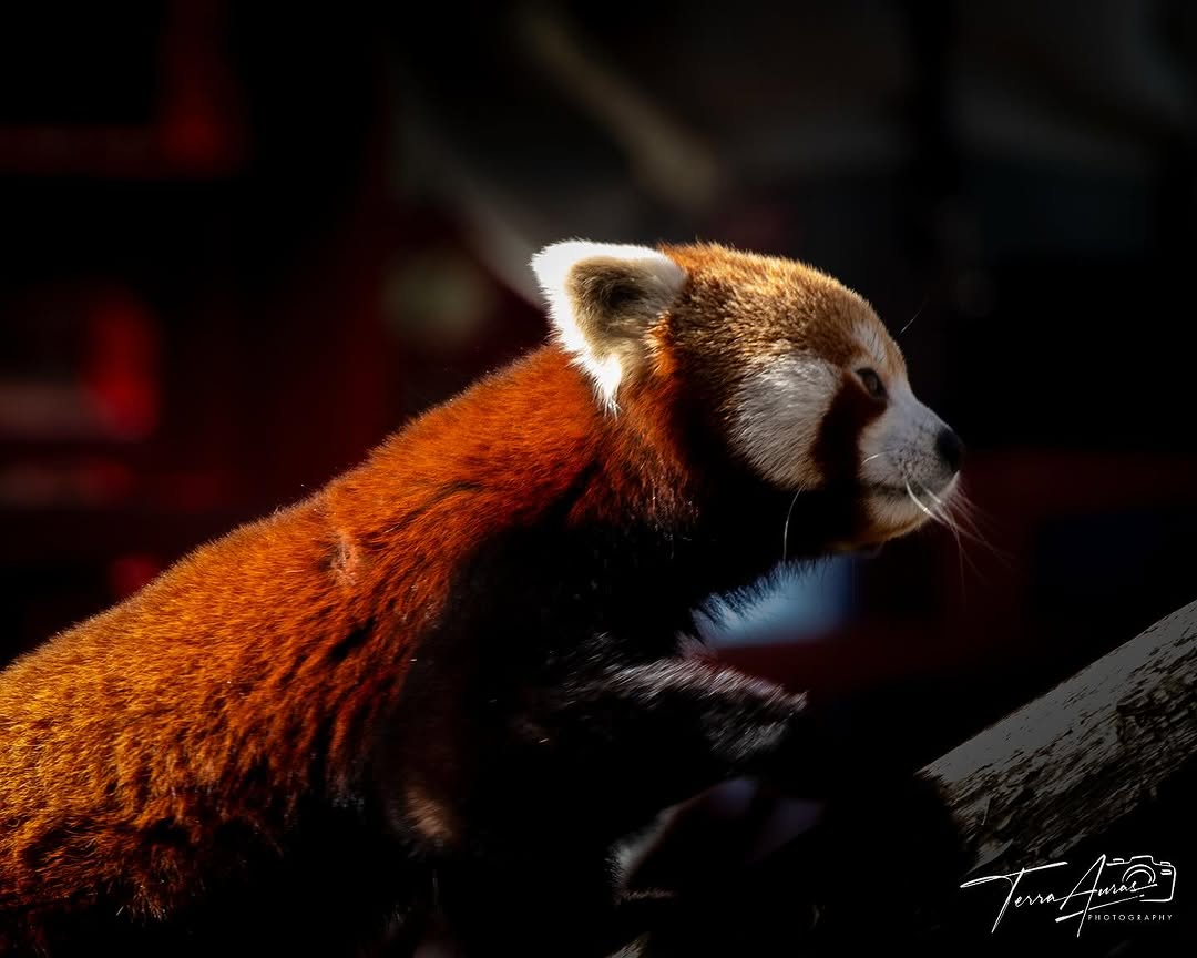 2025-03-23_15-07-14_UTC