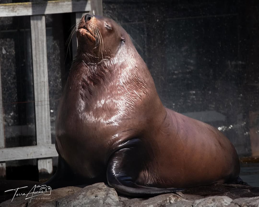 2025-03-30_17-20-45_UTC