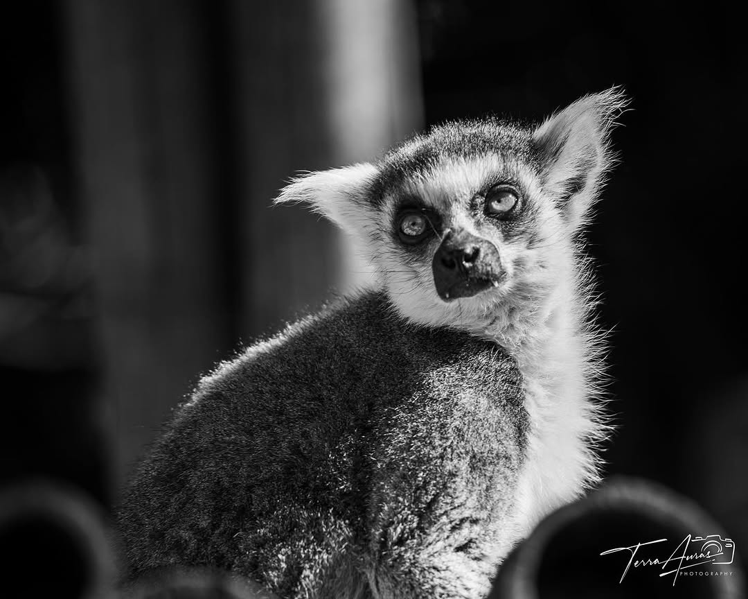 2025-04-13_14-26-16_UTC