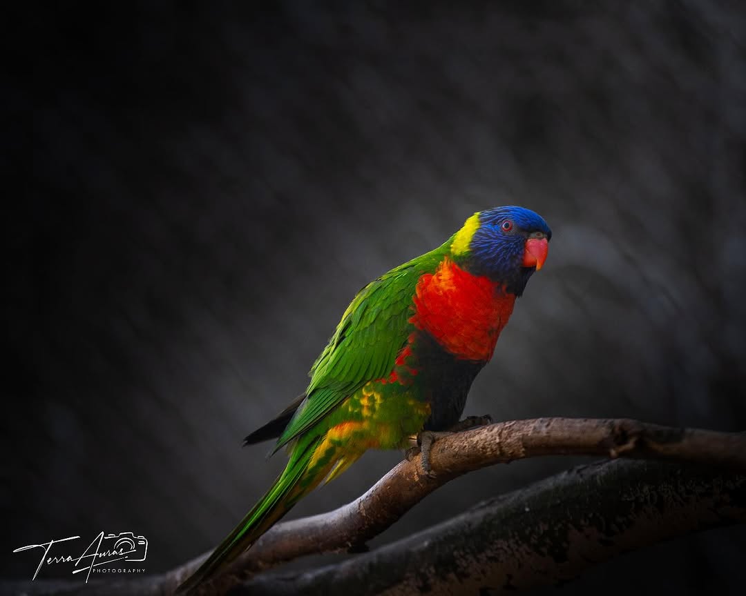 2025-04-20_17-13-22_UTC