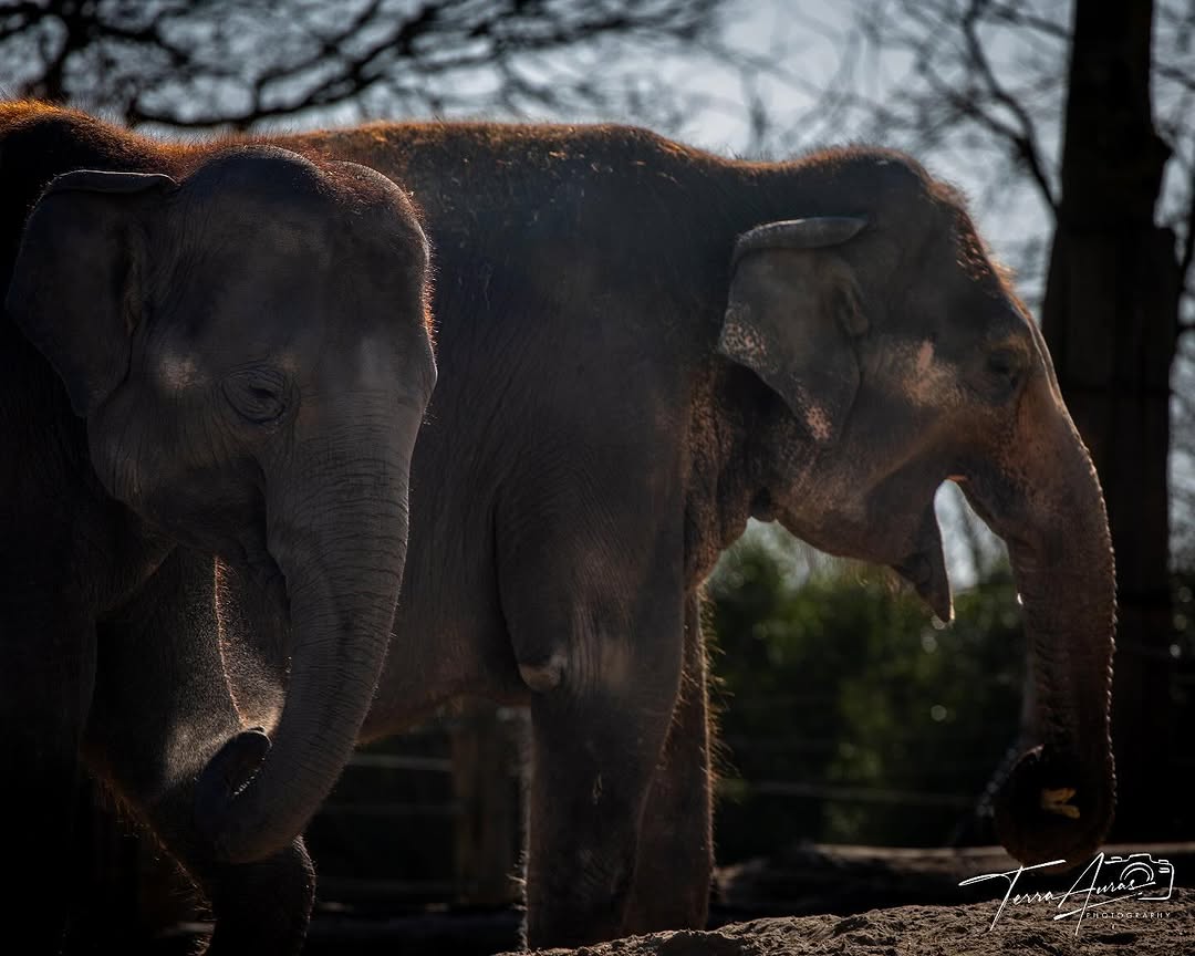 2025-04-27_12-37-48_UTC