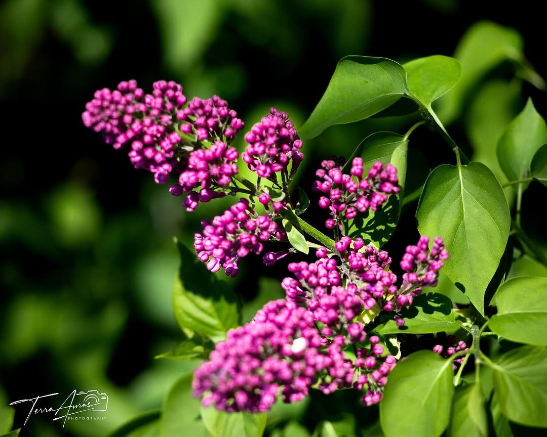 2025-05-11_12-16-37_UTC