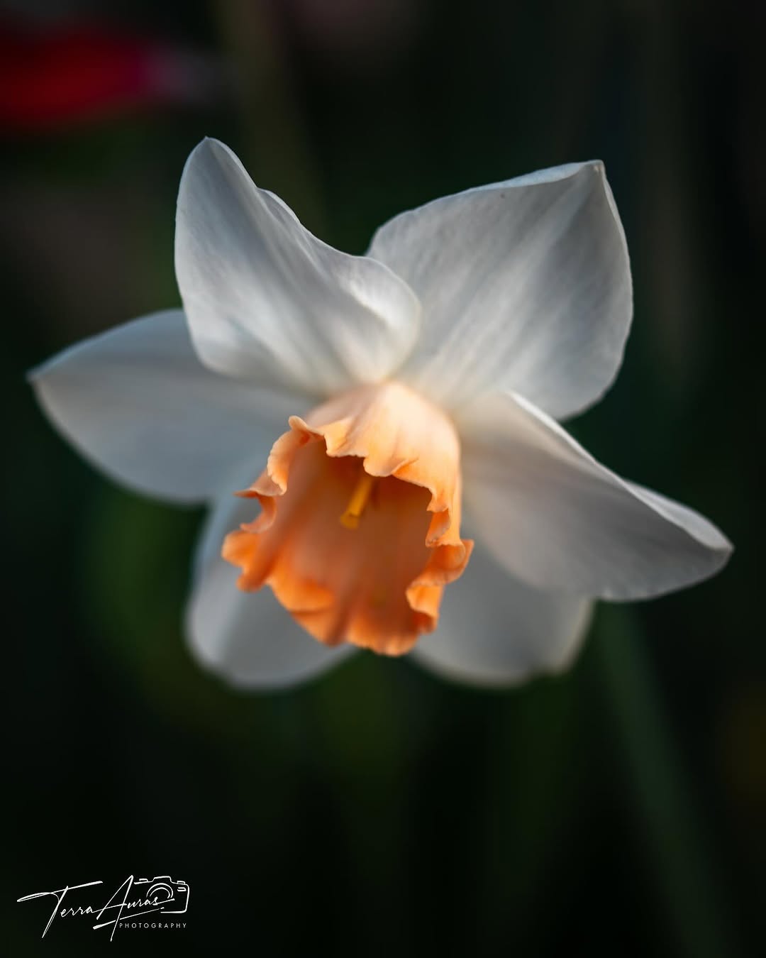 2025-06-01_11-29-00_UTC