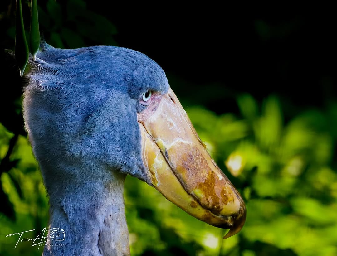 2025-07-13_17-35-38_UTC