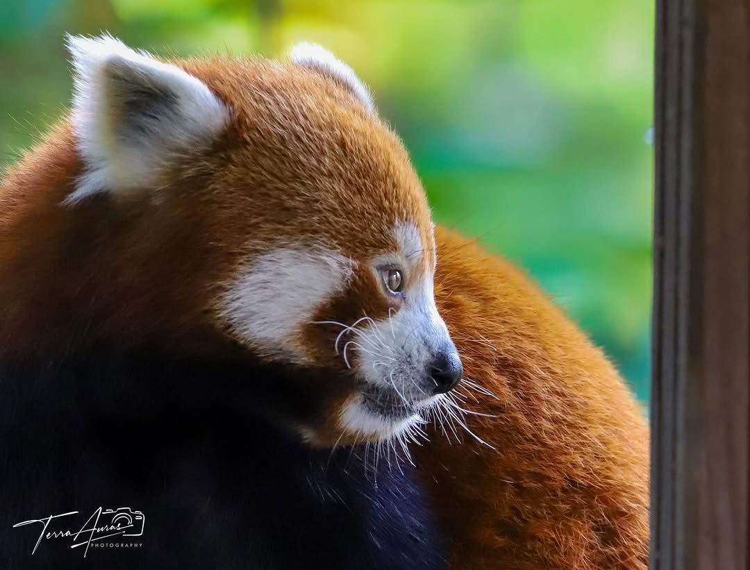 2025-07-28_11-52-41_UTC