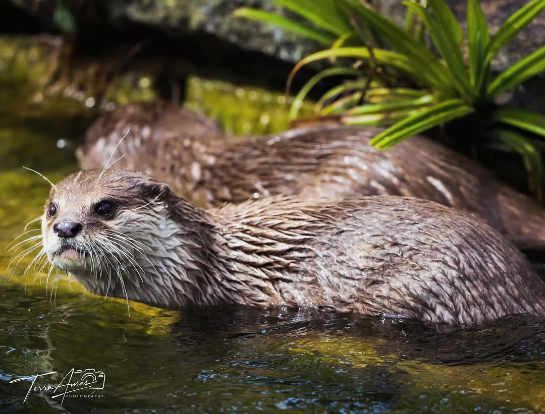 2025-09-07_09-02-25_UTC