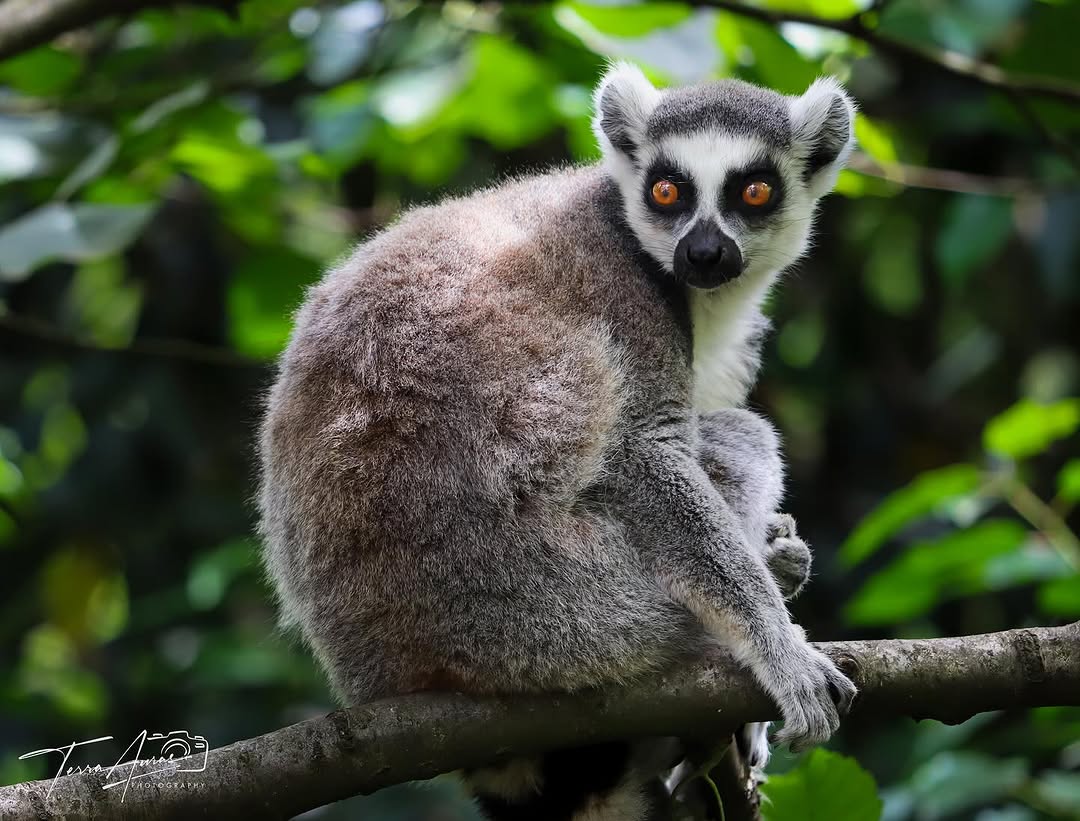 2025-09-22_10-28-56_UTC