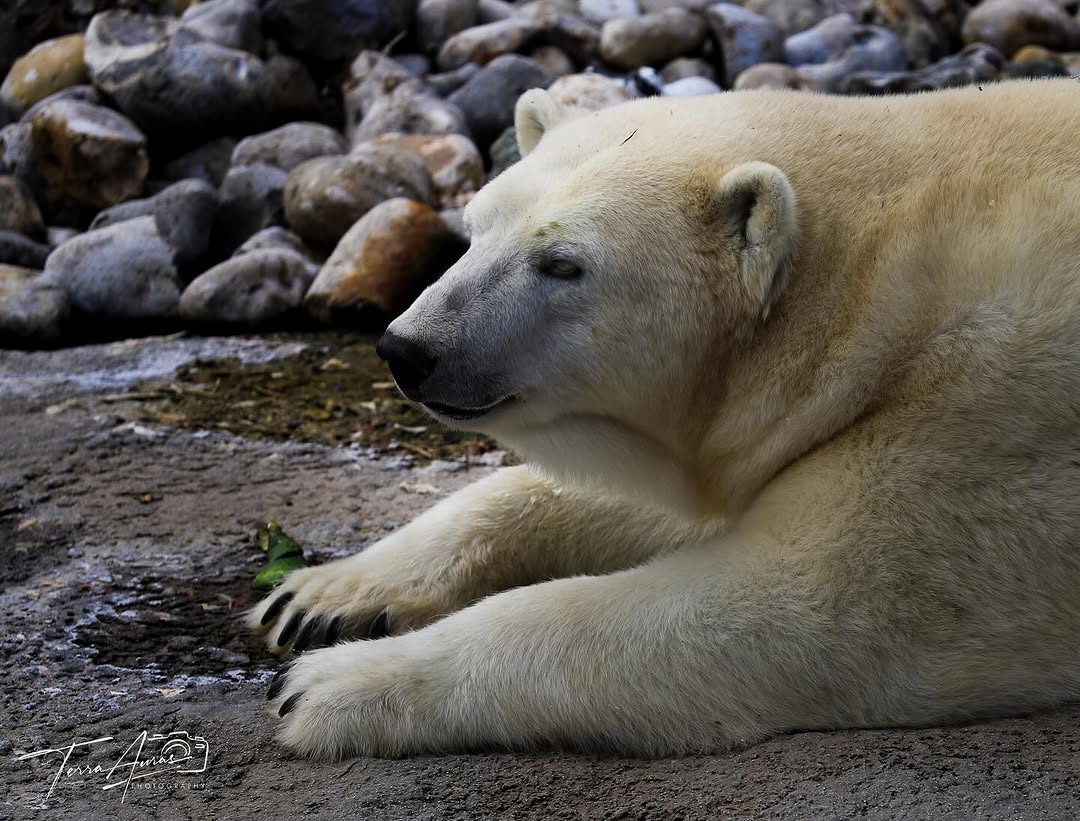 2025-09-28_15-50-50_UTC