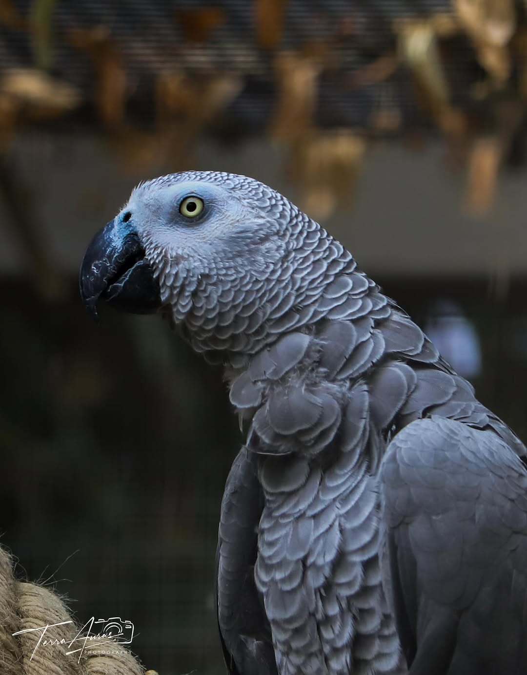 2025-10-05_11-52-49_UTC