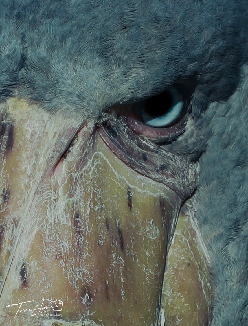 2025-10-26_11-27-37_UTC