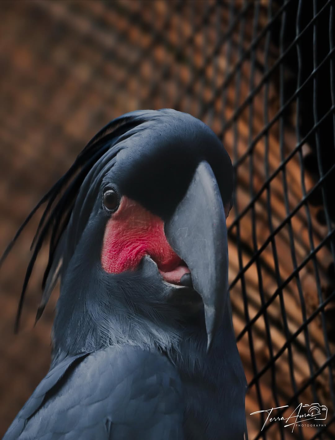 2025-11-09_12-00-14_UTC