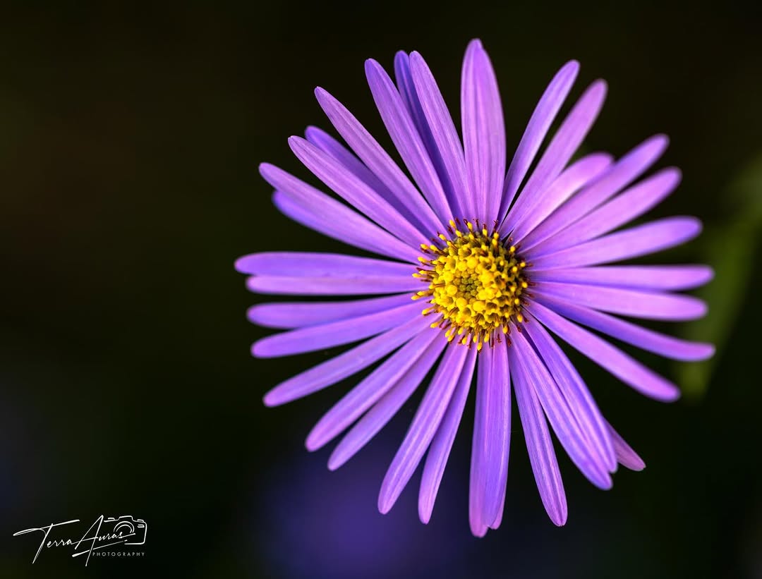 2026-01-04_16-58-49_UTC