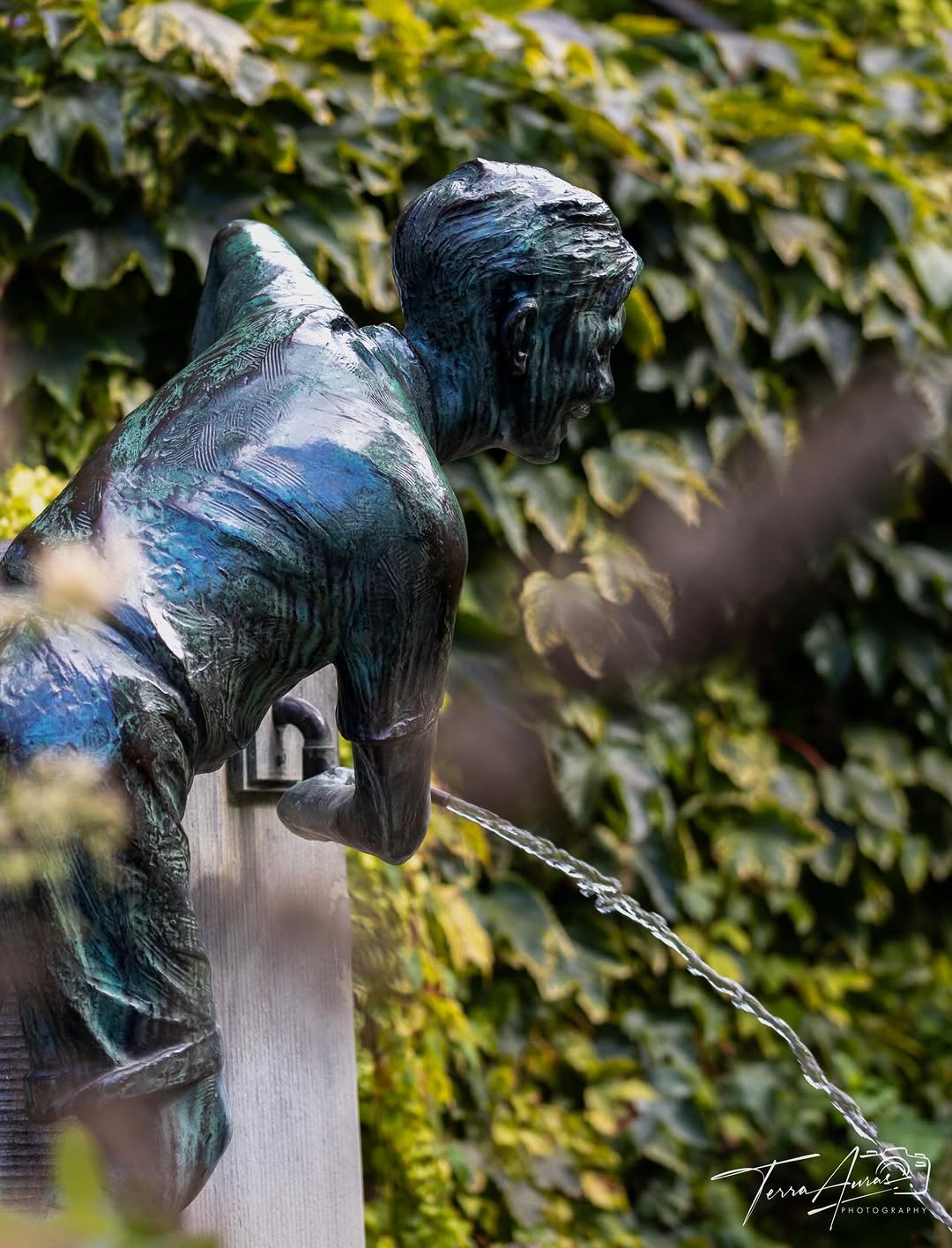 2026-01-17_19-33-39_UTC